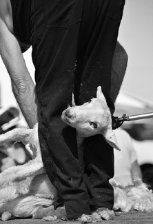 Just Another Day at the Office Just Another Day at the Office