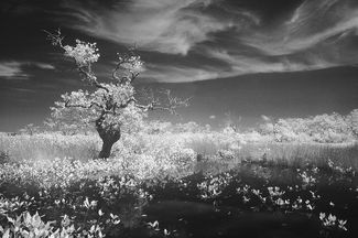 Unworldly Landscape Unworldly Landscape