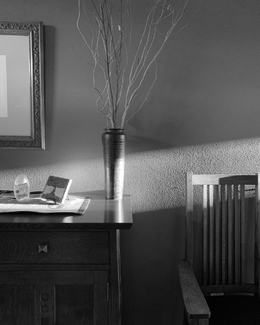 Afternoon Light Afternoon Light