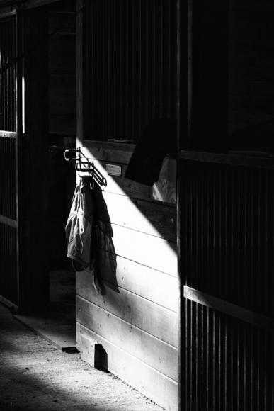 Stable Stall