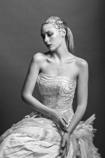 White Swan White Swan