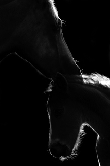 Mother & Child Mother & Child