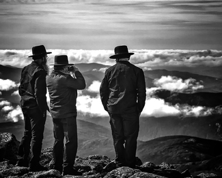 Three Seekers Three Seekers