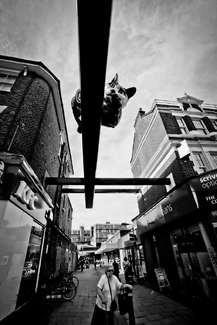 Psst! Behind You - Cat-Ford London Psst! Behind You - Cat-Ford London