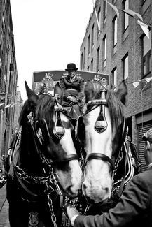 Vintage brewery dray & horses - London Vintage brewery dray & horses - London