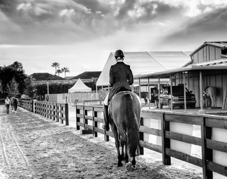 Early Morning Ride Early Morning Ride