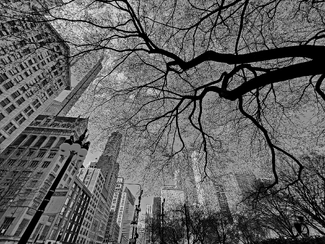 Chicago Sky Chicago Sky