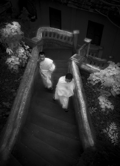 Ascending Steps, Luang Prabang, Laos 2015 Ascending Steps, Luang Prabang, Laos 2015