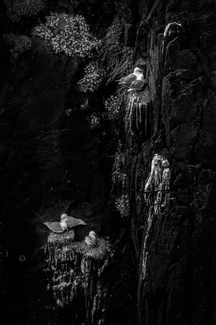 Cliff Palace Cliff Palace