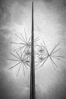 Star Spire Star Spire
