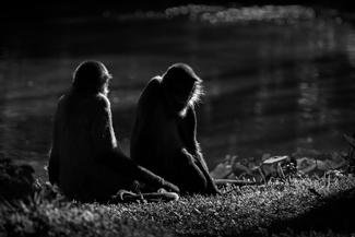 Weekend Escape Weekend Escape