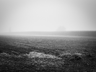 Misty Morning Misty Morning