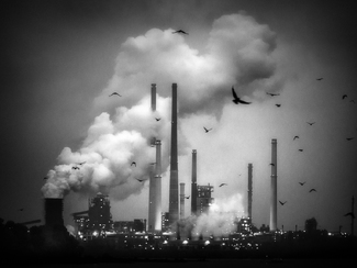 Crows' Dance Crows' Dance