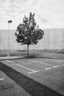 Urban Minimalism Urban Minimalism