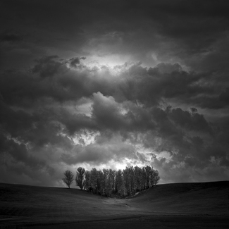 Petaluma Dairy Farms Petaluma Dairy Farms