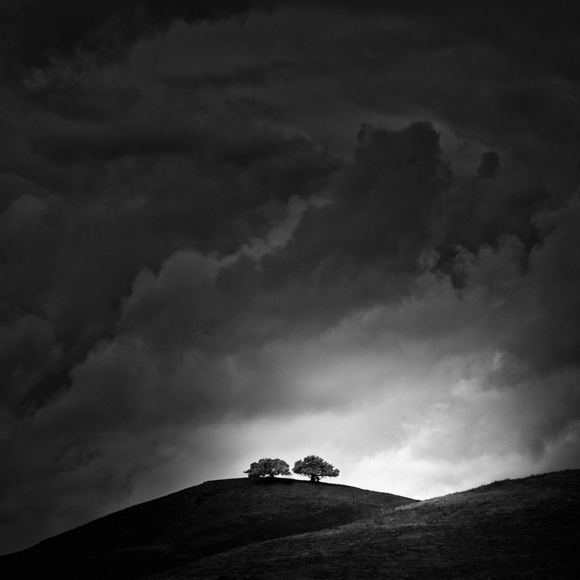 Two Trees on A Hill
