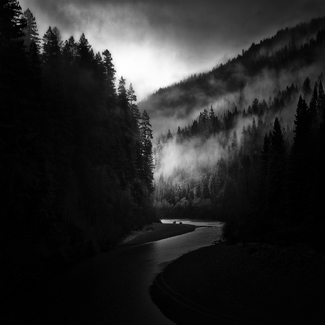 Humboldt Redwoods Humboldt Redwoods