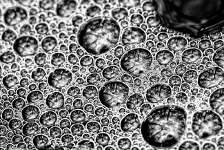 Seeing the Forest for the Bubbles Seeing the Forest for the Bubbles