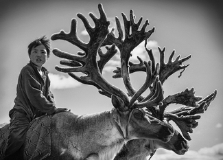 My Deer Boy My Deer Boy