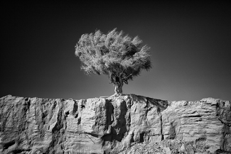 Home alone Home alone