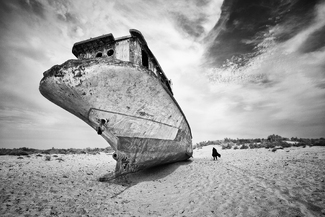 Sea You Someday Sea You Someday