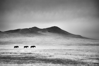 Western Union Western Union