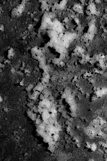 The Salt of the Earth The Salt of the Earth