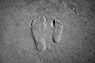 Dagmar, I miss you! Dagmar, I miss you!