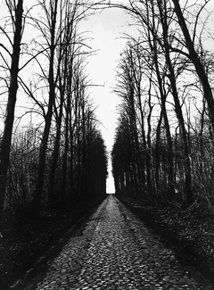 Lane Near Mons Lane Near Mons