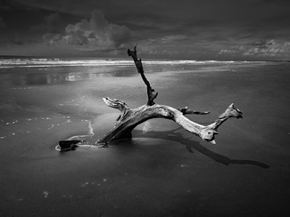 Boneyard Branch Boneyard Branch