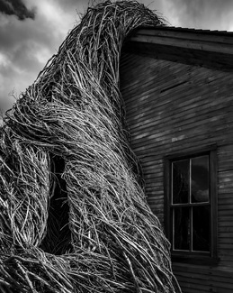 Daydreams-Nightmares No. 1 Daydreams-Nightmares No. 1