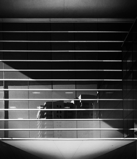 St. Petersburg St. Petersburg