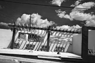 Perro en Asoleadero Perro en Asoleadero