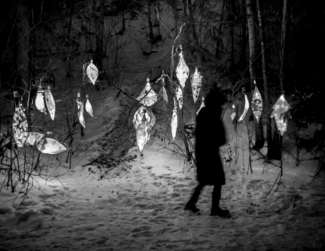 Jack Clark Lone walker in a forest of lights