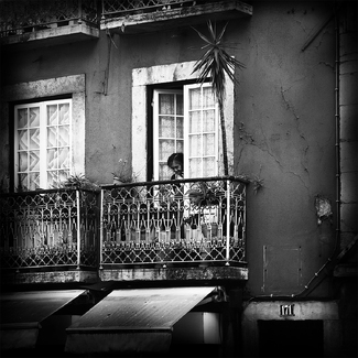 I never promised you a rose garden I never promised you a rose garden