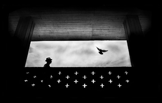 RIP, Luego ave Fenix RIP, Luego ave Fenix