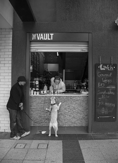 The Vault The Vault