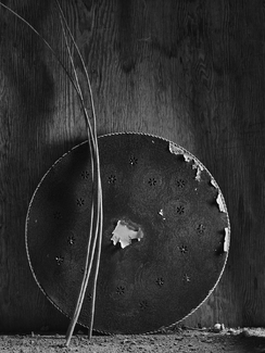 Rusting Tabletop Rusting Tabletop