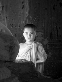 Young Monk - Myanmar Young Monk - Myanmar