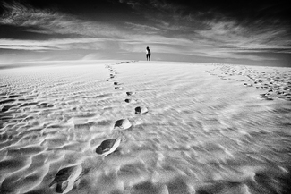 Wonderful Life Wonderful Life