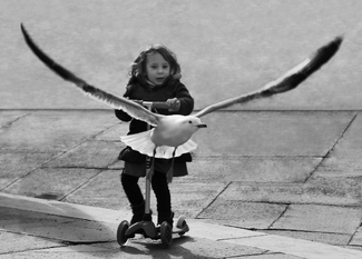 Girl and Seagull Girl and Seagull