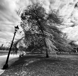 Hyde Park, London during lockdown 2020. Hyde Park, London during lockdown 2020.