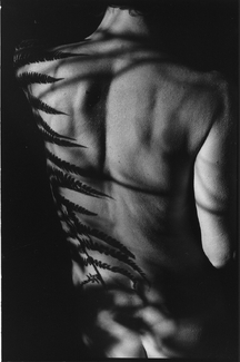 Emma, Fern One -silver gelatin print Emma, Fern One -silver gelatin print