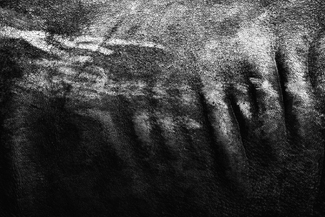 Topographic Topographic