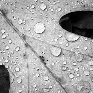 Raindrops Raindrops