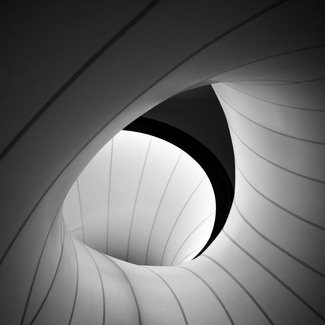 Winton Gallery Ceiling #7 Winton Gallery Ceiling #7