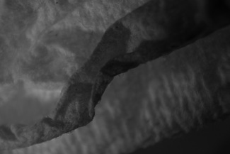 Untitled (2) Untitled (2)