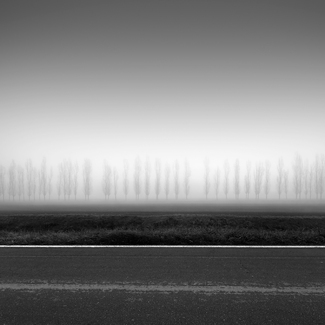 Trees on a Line Trees on a Line