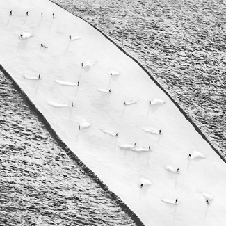 Snow Clouds Snow Clouds