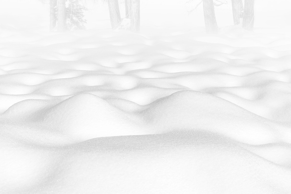 Snow Shapes #8